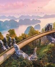 大象传媒一人着视频-探索大象传媒与一人着视频的独特魅力