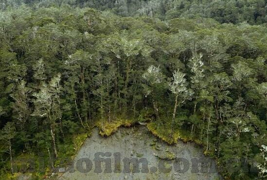 国产精品视频一区二区三区-国产精品视频的多元化探索，一区、二区、三区的独特魅力