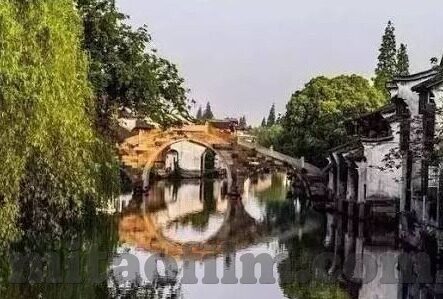 果冻传媒精选一区二区-探索果冻传媒精选一区二区的独特魅力