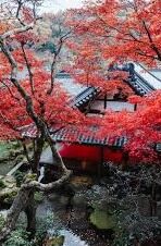 黑人干人妻-黑人干人妻，一个复杂而敏感的社会话题