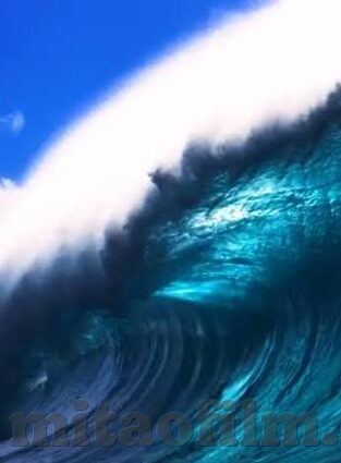 久草麻豆视频-跨界诱惑，解析久草麻豆视频在数字时代下的特殊现象