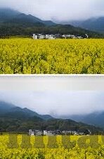 麻豆视频免费网站-探索成人内容传播的灰色地带，麻豆视频免费网站的背后