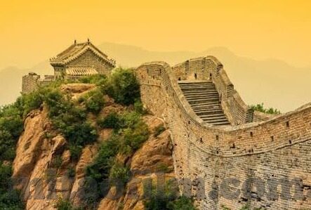 糖心app会员账号-深度揭秘，畅享糖心APP会员体验之旅