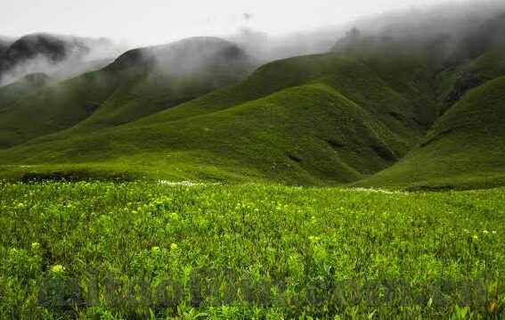 糖心直播app苹果下载-探索糖心直播app在苹果设备上的便捷下载途径